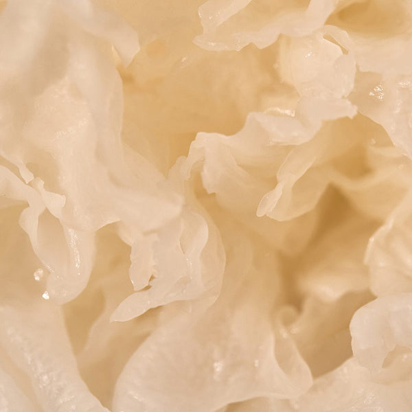 cream_3