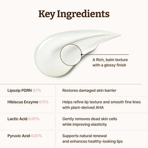 [Dr. Reju-All] Advanced PDRN Rejuvenating Lip Serum 10ml