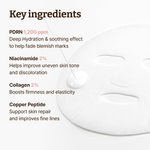 [Dr.Reju-All] Advanced PDRN Rejuvenating Mask (4ea)