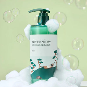 [Round Lab] Pine Calming Cica Shampoo 400ML